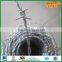 Galvanized Double Strands Twisted Barbed Wire (Anping Factory)