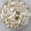 Organic Snow White Pumpkin seed kernels