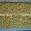 Non-GMO Frozen Sweet Corn Kernels IQF Sweet Corn Kernels