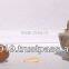 Moisturizing Argan Oilcake 100% Bio Organic in bulk