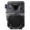 8 inch bluetooth speaker professional with wireless microphone and remote control DP-08