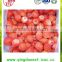 Export High Quality factory organic Frozen Strawberry