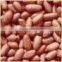 Bold Peanut