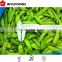 IQF price for frozen Pea pods 2015 new crop china
