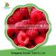 China Frozen fruits IQF raspberry A grade With Extra Quaity