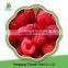 High quality iqf fruits and frozen raspberry crumble