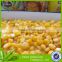 good quaity canned yellow corn, china manufactuer 184g yellow corn price
