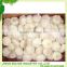 China fresh pure white garlic