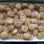 china canned champignon mushroom p&s fresh canned champignon champignon button mushroom