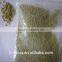 Halal Chicken Bouillon Powder
