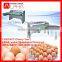 Factory supply egg grading machine for sale/egg grading machine/egg grading machine price