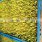 1000-100000KG/DAY Automatic Heating and Watering Hydroponic Fodder Production Line
