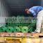 Direct Manufacturer Green PVC Coated Welded Wire Mesh Roll