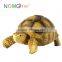 Nomo handmade little furnishing articles resin sulcata tortoise model