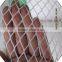 hot sale plastic flat mesh / placstic chicken wire mesh factory