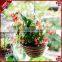 Natural wicker decoration hanging basket garden hanging planters