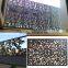 Garden Decoration Cast Vintage Design Art Aluminum Garden Fence Panels
