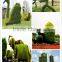 2016 New Design Artificial Green Sculpture for Garden Manufacturer