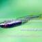 Rasbora Fish For Sale and Export