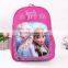 Wholesale Frozen school bag Elsa Anna backpack with pencil case Student school backpack