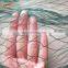 Green anti mole netting protect the grapes from birds