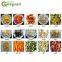 vaccum frying machine for fruit and vegetable chips jackfruit kiwifruit