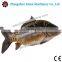 Stainless steel fish scale peeling machine/fish peeler with low price 0086-18037101692