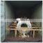 DX51d z galvanized steel coil