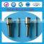 Diese Fuel Injector Nozzle of P Type DLLA155P135 DLLA155P277 DLLA150P585