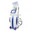 Body slimming weight loss fat freezing machine 4 handles work at the same time
