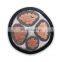 Underground Power Cable Copper XLPE PVC Insulation LSZH 3 Core 16MM Armored Cable