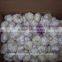 factory price chinese natural red garlic(normal white garlic, purple garlic, white garlic)