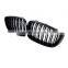 GT Double Slat Front Bumper Grille for BMW 3 Series F34