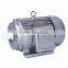 Three Phase electric Motor/Induction Motor/Y Series Motor for sale