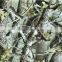 China Hydro Camo Dipping Films for hunting products