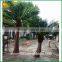 2m fiberglass trunk artificial coconut tree wholesale fake coconut palm tree