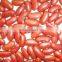we are supply English red kidney beans with best price for sale