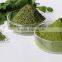 OEM brand private label moringa leaves capsule