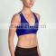 Customized Ladies Gymwear Seamless Workout Top Wear Yoga Push Up Bra