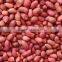 honey roasted peanuts