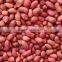 bulk peanuts for sale