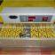 ZH-96 mini automatic egg incubator for home use