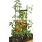 pe coated garden tomato support