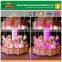 china factory low price amusement rides park mini carousel for sale