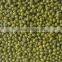 Top quality green mung beans