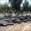 Concreting plant ecology pouring pile strawberry flower grass ground floor parking lot pavement Stone clover mold