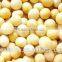Food Grade Functional soy protein concentrate(68%)