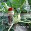 Better Price ! Agrochemical Insecticide permethrin 25% WP