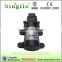 Singflo 12v 70psi 3.1L/min agricultural pumps