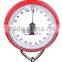 Spring weighing hanging scale